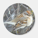 Recherche de chanteurs magnets Moineau