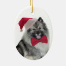 Search for keeshond ornaments Pet
