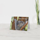 Search for koala bear birthday cards Cuddly