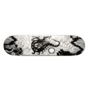 Search for sea skateboards Chinese