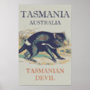 Search for tasmanian devil posters Nature