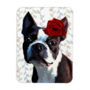 Recherche de terrier magnets S'est levé