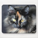 Search for siberian cat mousepads Feline