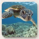 Recherche de tortue dessous de verres Bleu