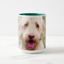 Search for mixed breed dog mugs Cute