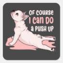 Search for funny dog saying stickers Paws