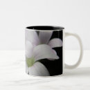 Recherche de pourpre de fleur tasses Nature