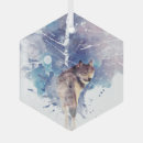 Search for graphic ornaments Nature