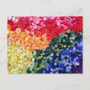 Search for sewing postcards Rainbow