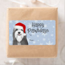 Search for bearded collie stickers Beardie