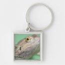 Search for bearded dragon keychains Cold blooded