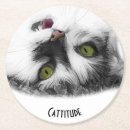Search for funny cat coasters Pet