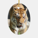 Search for tigers ornaments Wild cat