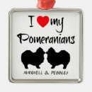 Search for pomeranian ornaments Heart