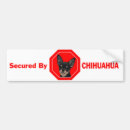 Search for beware bumper stickers Chihuahua