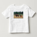 Search for amish country tshirts East coast