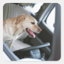 Search for mode of transport stickers Outdoors