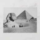Search for sphinx postcards Vintage