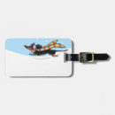 Search for smooth accessories Dogs