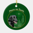 Search for be flat ornaments Gift