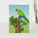 Search for macaw birthday cards Green parrot