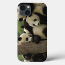 Search for panda ipad cases China
