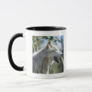 Search for yellowstone wildlife mugs Outdoors