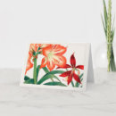 Recherche de amaryllis vœux cartes Floral