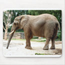 Search for natural history electronics Nature