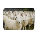 Search for sheep bath mats Field