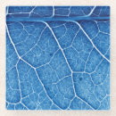 Search for closeup coasters Blue