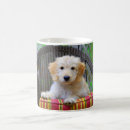 Search for golden doodle mugs Cute