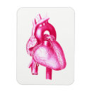 Recherche de humains magnets Doctor