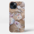 Recherche de chat domestique iphone coques Mignonette
