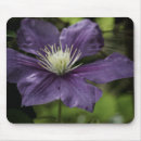 Search for clematis mousepads Purple