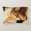 Search for painter pillows Modern