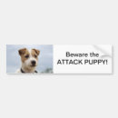 Recherche de terrier voiture autocollants Chiot