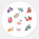 Search for wild berries stickers Blackberry