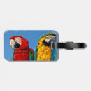 Recherche de oiseau bleu bagages étiquettes Faune