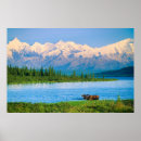 Recherche de orignaux taureau posters Adulte