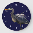 Recherche de oiseaux aquatiques horloges Animal