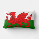 Search for welsh dragon pillows Cymru