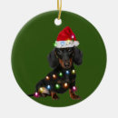 Search for dachshund ornaments Xmas