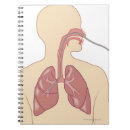 Search for letterhead posters Work