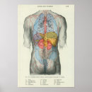 Search for relation posters Chart