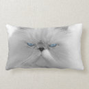 Search for grumpy cat pillows Cute