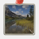 Search for waterfowl ornaments Nature