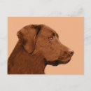 Recherche de peinture labrador cartes postales Dog