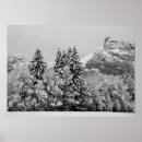 Recherche de roche noire photographie Hiver