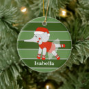 Search for specialized ornaments For kids